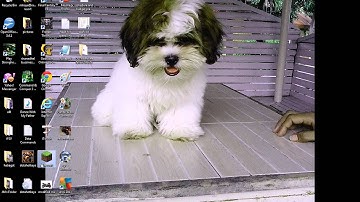 How to Download Minecraft 1.5.2 for free