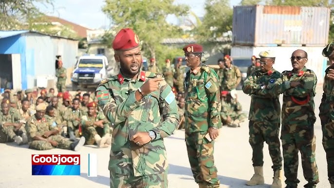 Rostov-na-Donu yashirin kamera yalangoch jojalar Otasi olatni oxirigacha bosdi, qizi esa qichqirdi.