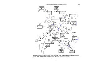 Descriptive Statistics and Distributions Lecture 2