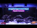 Nyos Reef Tank update - Frag Garage Coral Haul!
