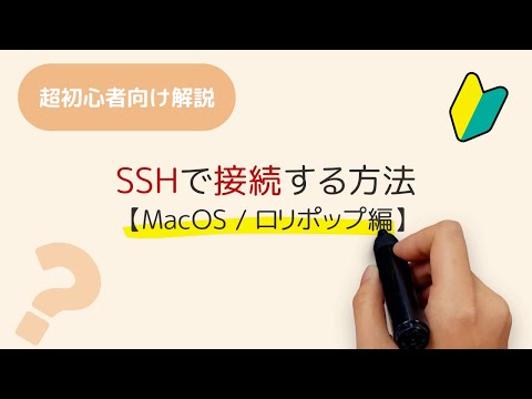 レンタルサーバーにSSH接続する方法【macOS/ロリポップ編】