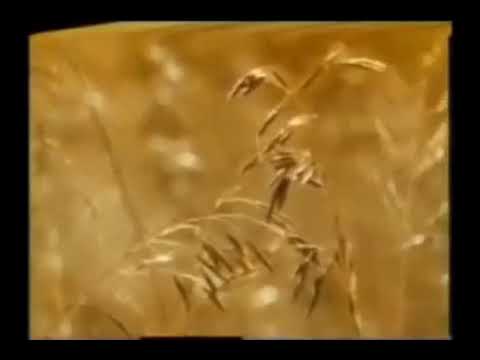 H._Muammar_ZA_[Al-Baqarah,_Ath-Thariq,_At-Takatsur,_Al-Quraisy]