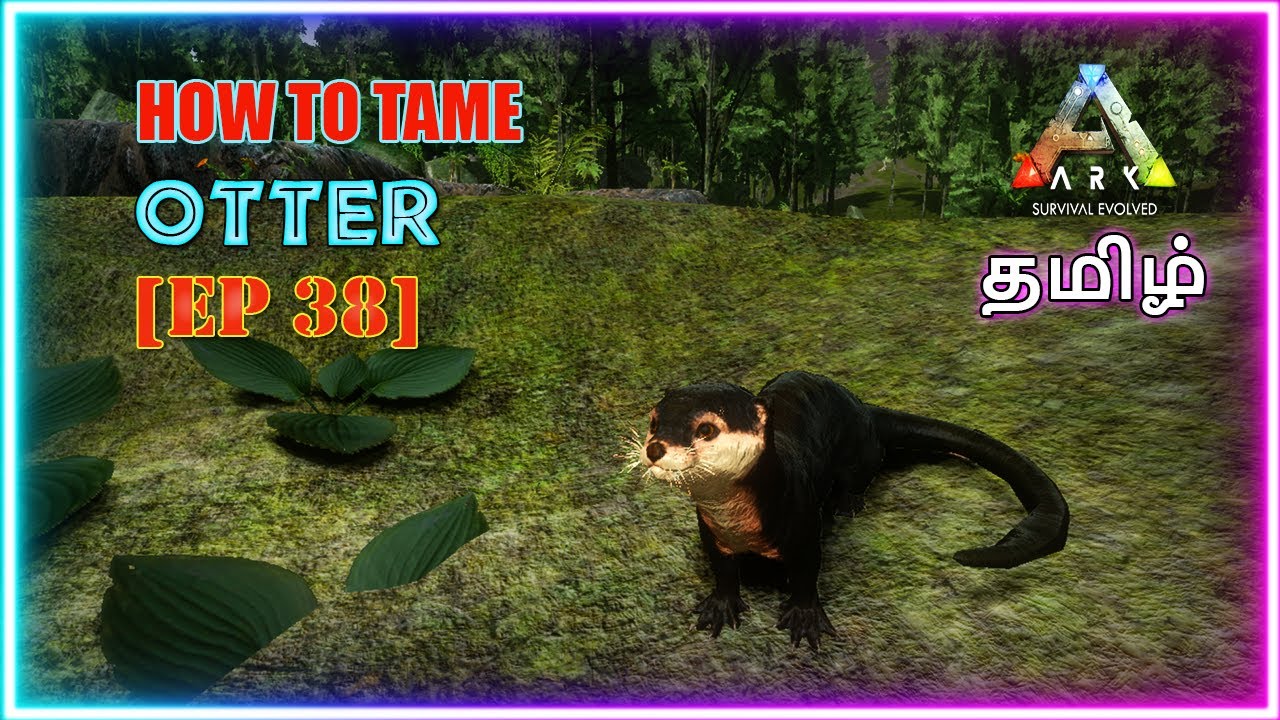 HOW TO TAME OTTER | ARK MOBILE | TAME SERIES EP 38 | MR RAPTOR | RAPTORS GAMING.