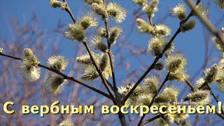 28 АПРЕЛЯ - ВЕРБНОЕ ВОСКРЕСЕНЬЕ!