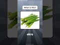 Quick Word Challenge ⚡ | Vegetable Patch #wordquiz #english #shorts #fun #guess