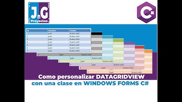 DataGridView personalizado, no librería - C# WINDOWS FORMS | no audio