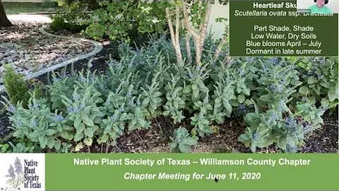 Jun 2020 Meeting: Become Native to Your Place