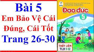 đạo đức lớp 5 bài 5 | em bảo vệ cái đúng cái tốt | trang 26 – 30 | cánh diều