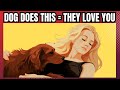 11 scientific ways to know if your dog loves you  proven signs  ways dogs show  say i love you