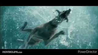 Underwater Scene Scenes Edit Marmaduke Underwater Scene Sharpness