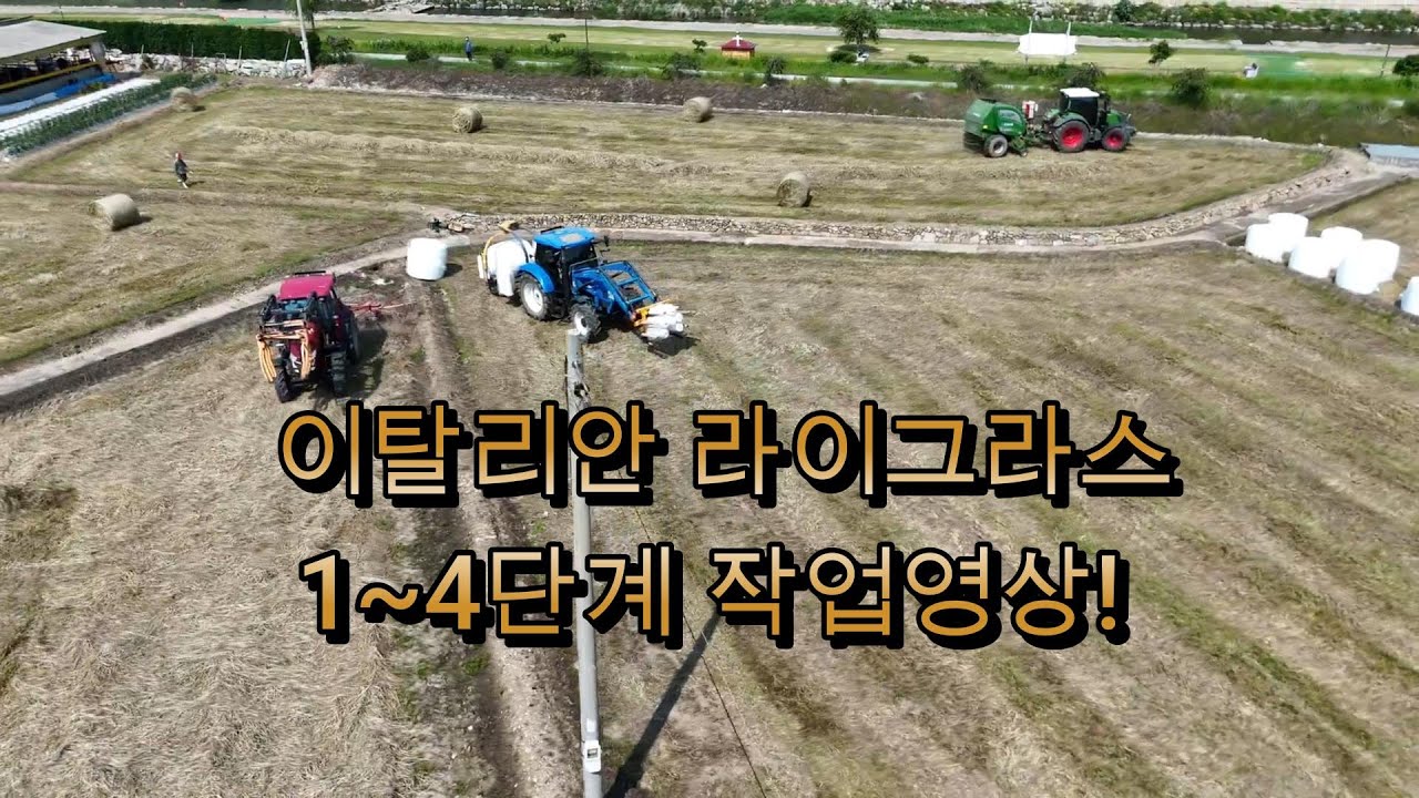 이탈리안 라이그라스 풀베기부터 마시멜로우 만들기까지!! 한 번에 풀영상