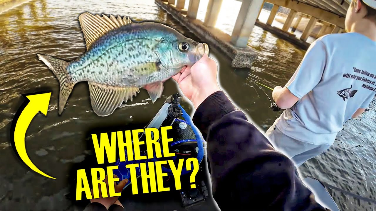 TIPS WHERE TO FIND STAGING PRE-SPAWN CRAPPIE‼️ CRAPPIE FISHING 2026‼️