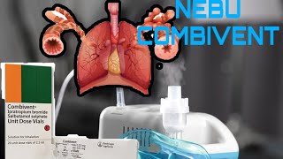 Information on Combivent Nebulizer Bronchodilator Medication to Treat Shortness of Breath Due to ...