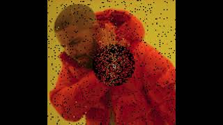 【Processing】Interactive Image Transition | SM2715 Assignment Profile