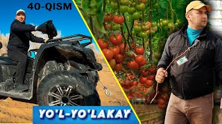 : YOL YOLAKAY 40-qism.ס      ?