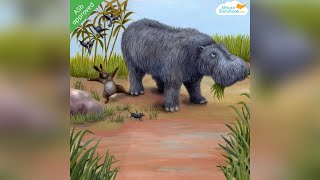 Why hippos have no hair? animated story tell you in a strange way | Books4TV