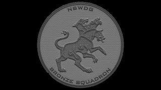 Bronze Squadron