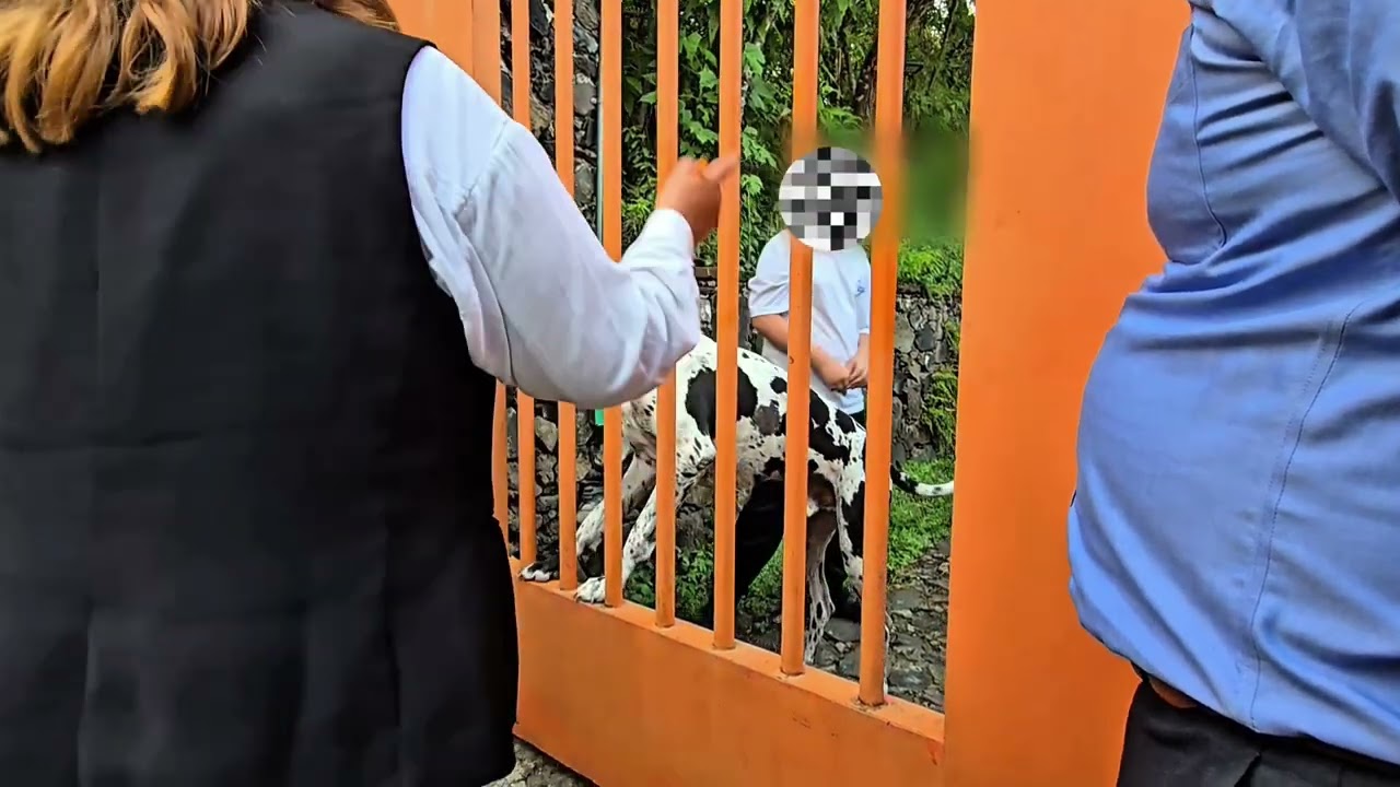 Embargo y Lanzamiento 