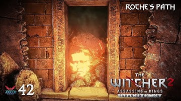 The Witcher 2 [Roche