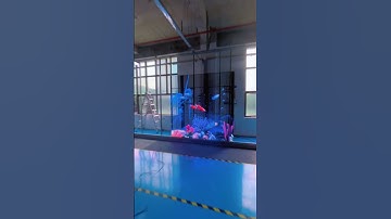 Amazing transparent LED screen