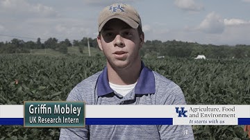 Griffin Mobley Internship