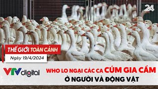 Thế giới toàn cảnh 19\/4: WHO lo ngại các ca cúm gia cầm ở người và động vật | VTV24