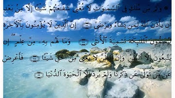 سورة النجم بقراءة علي الحذيفي