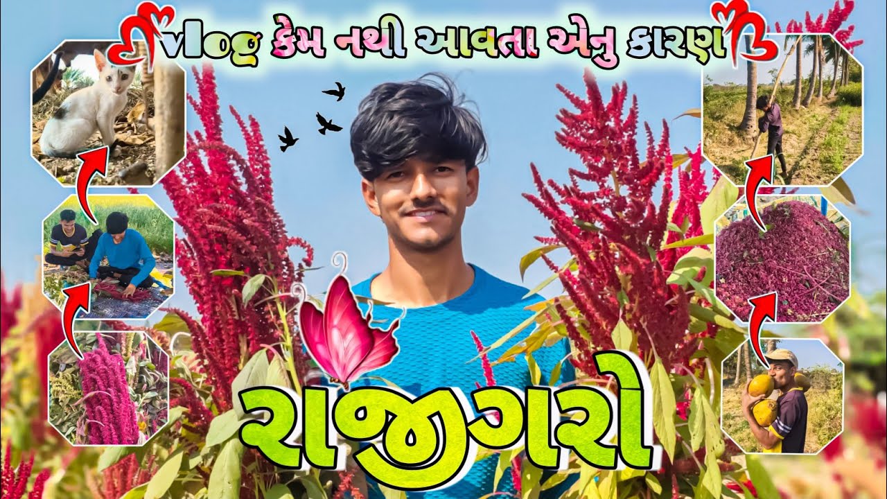 Vlog કેમ નથી આવતા એનુ કારણ એકજ છે 🥵 