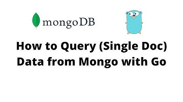 How to Query (Single Doc) Data from Mongo with Go