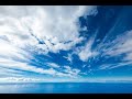 Live Music | Free Spirit Vibes| Live Freely| Chill Live Stream | Relaxing Live Music Stream