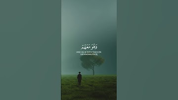 سورة النساء بصوت القارئ عمر شيم || #قران_كريم #المصحف #سوره_النساء