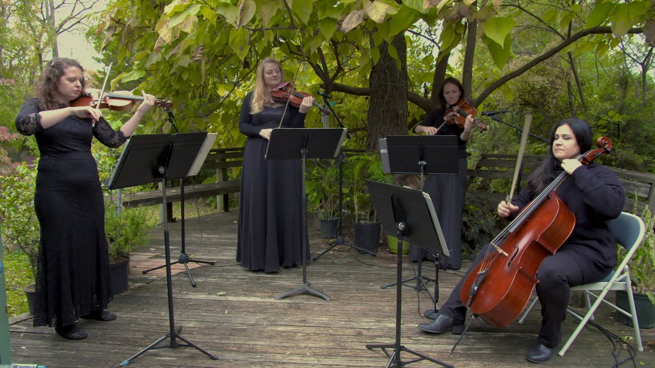 Can't Help Falling in Love (String Quartet) YouTube