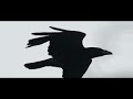 Linkin park  blackbirds music