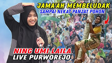 NING UMI LAILA TERBARU 2025 JAMA