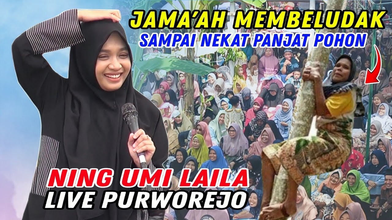 NING UMI LAILA TERBARU 2025 JAMA'AH MEMBELUDAK LIVE LOANO PURWOREJO