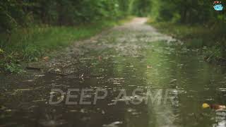 Mountains Lost in the Storm's Shadow | Calm before the Storm | NO AI