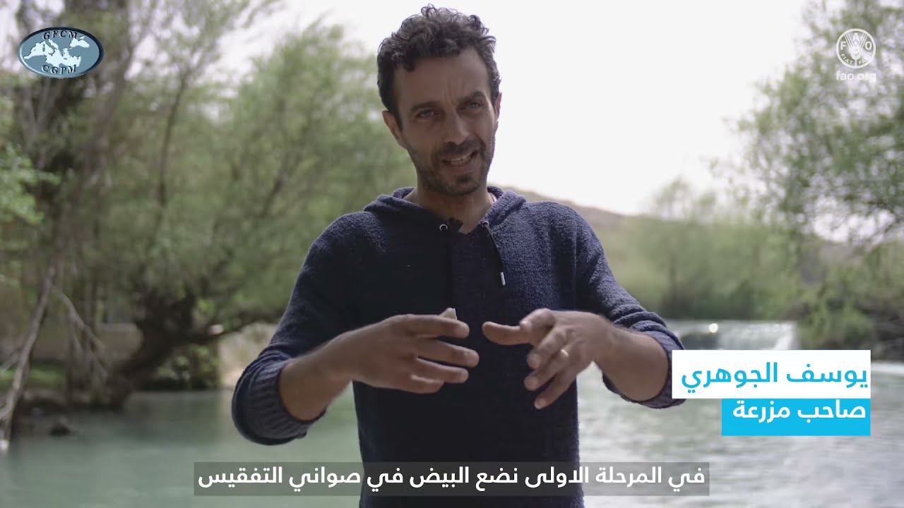 تربية الأحياء المائية ‏في لبنان