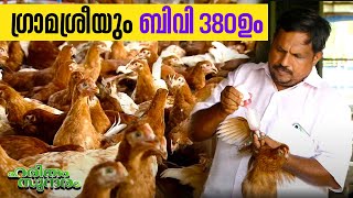കന്നേറ്റിൽ പനയറ വീട്ടിലെ മുട്ടക്കോഴി വിപ്ലവം | BV 380 Chicken Farm | Haritham Sundaram EP 484