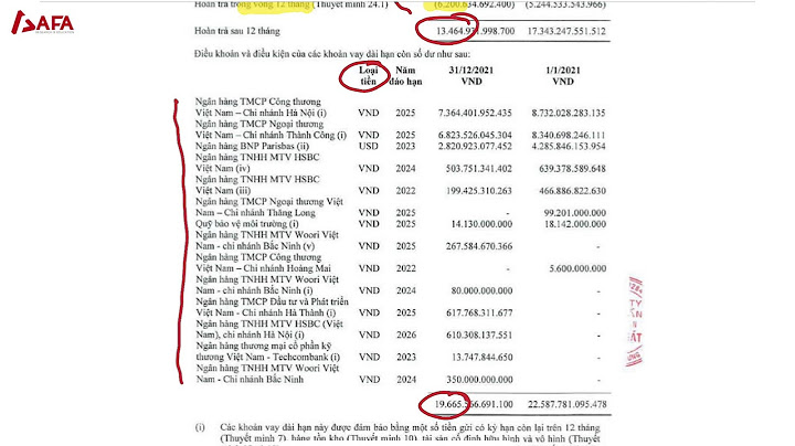 Chỉ tiêu khả năng thanh toán gốc vay dài hạn năm 2024