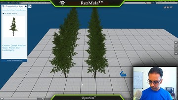 Tutorial 2: A simple randomization function