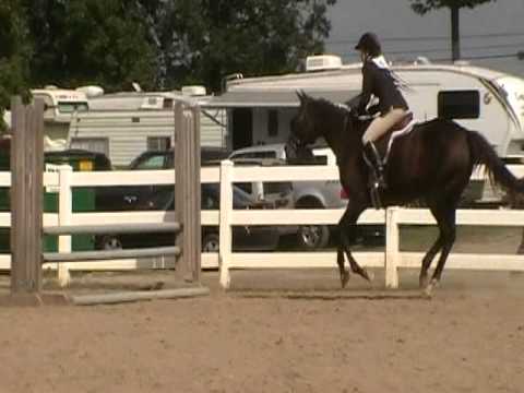 Working Hunter over Fences - YouTube