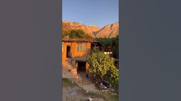 تلاوة لا توصف تقشعر لها الأبدان مزمار من مزامير داوود HD | راحة نفسية 😴💙