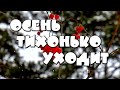 Осень тихонько уходит, ты слышишь? Красивая музыкальная открытка.