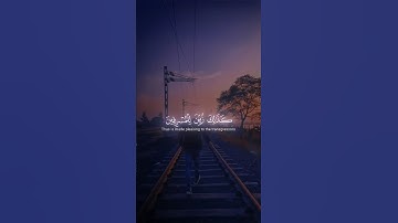 سورة يونس || آية ١١-١٢ 🌪️ (Surah Yunus) ﷽ ✨