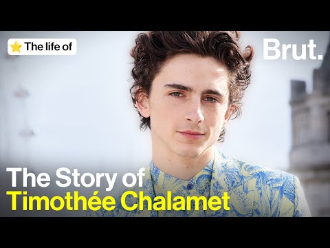 The Life of Timothée Chalamet