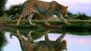 Zomi Lengtong Cidam Peuh Leh -&Pi Pi