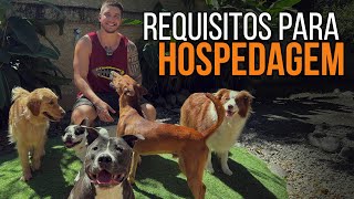 HOSPEDAGEM DE CÃES - tudo que você precisa saber! screenshot 3