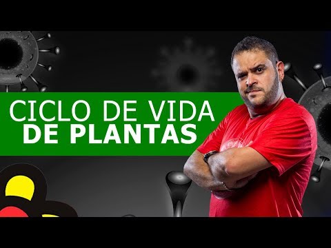 Vídeo: O que é o ciclo de vida das plantas?