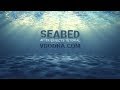 Seabed Under-water After Effects Tutorial