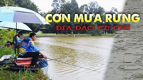 Câu Đài | Câu Cá Rô Phi Cực Nhiều từ bài mồi Đơn Giản tại Địa Đạo Củ Chi | Mồi câu cá Khó Chịu